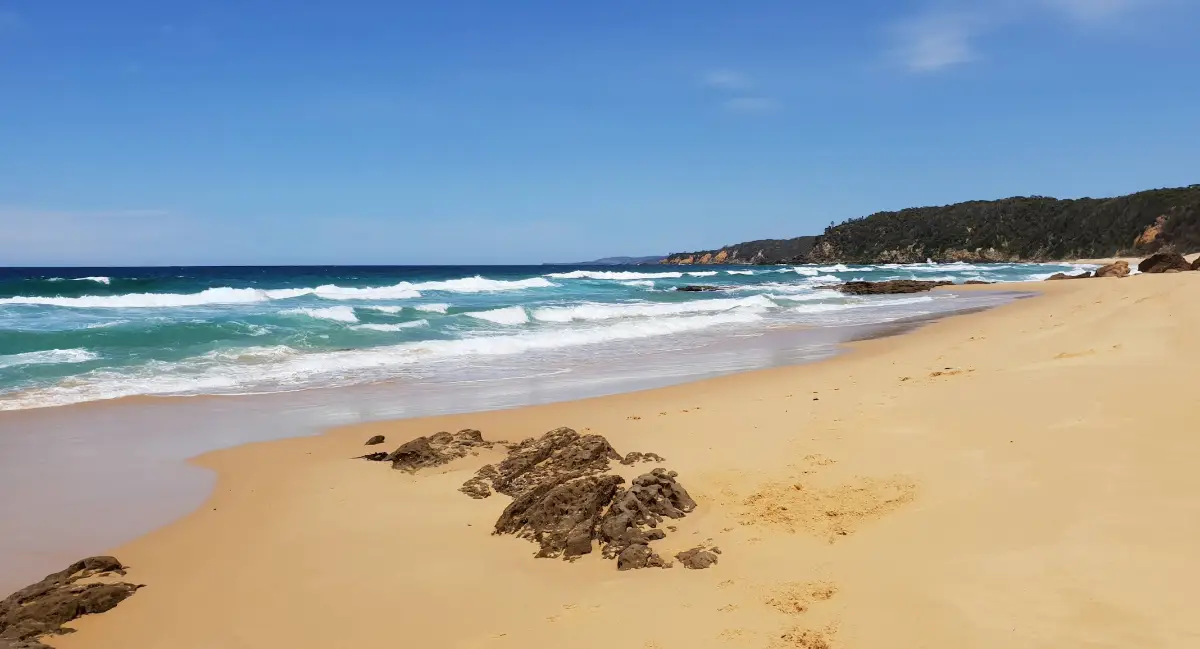 Beares Beach