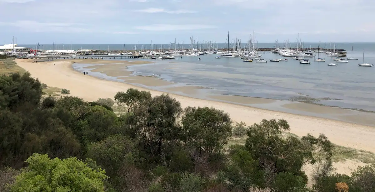 Dog Friendly Beach Sandringham Harbour