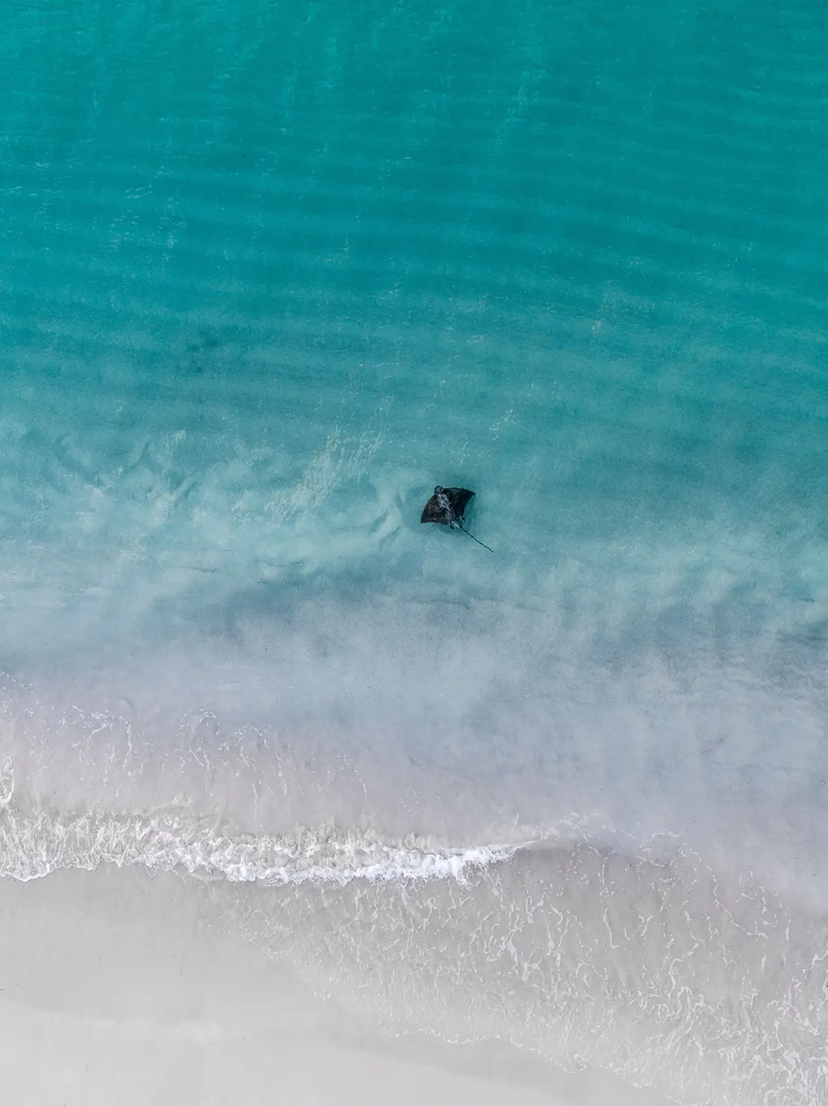 Hamelin Bay Beach