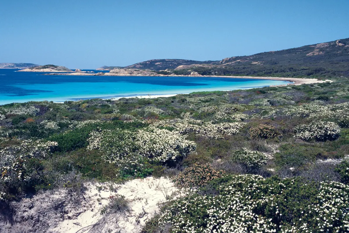 Rossiter Bay