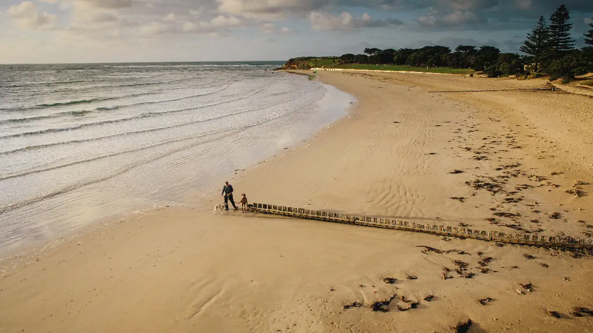 Torquay Beach (front)